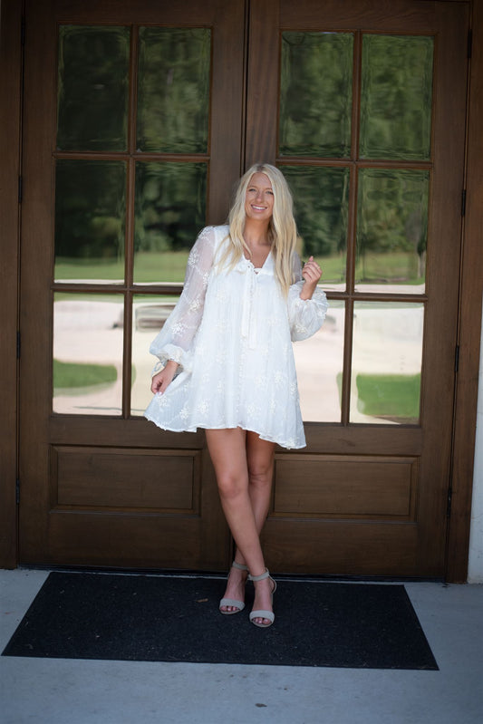 Linnie Embroidered Mini Dress - Ivory