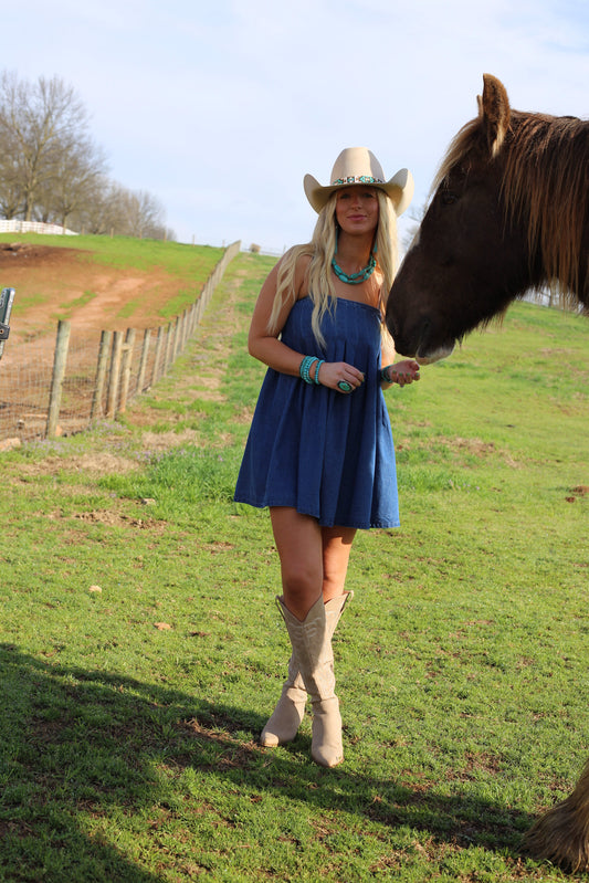 Nadia Pleated Denim Dress