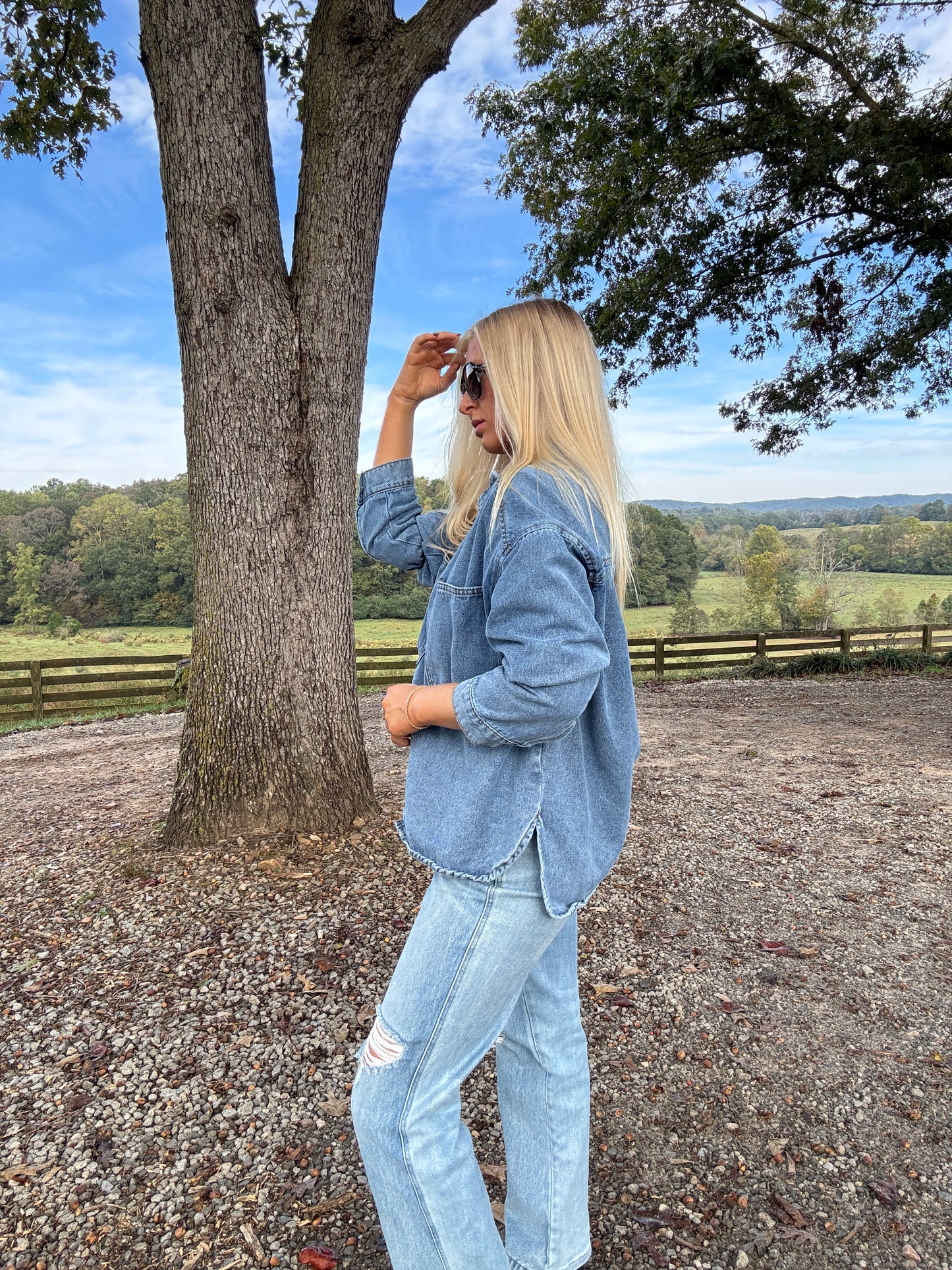 Brooke Denim Button Down