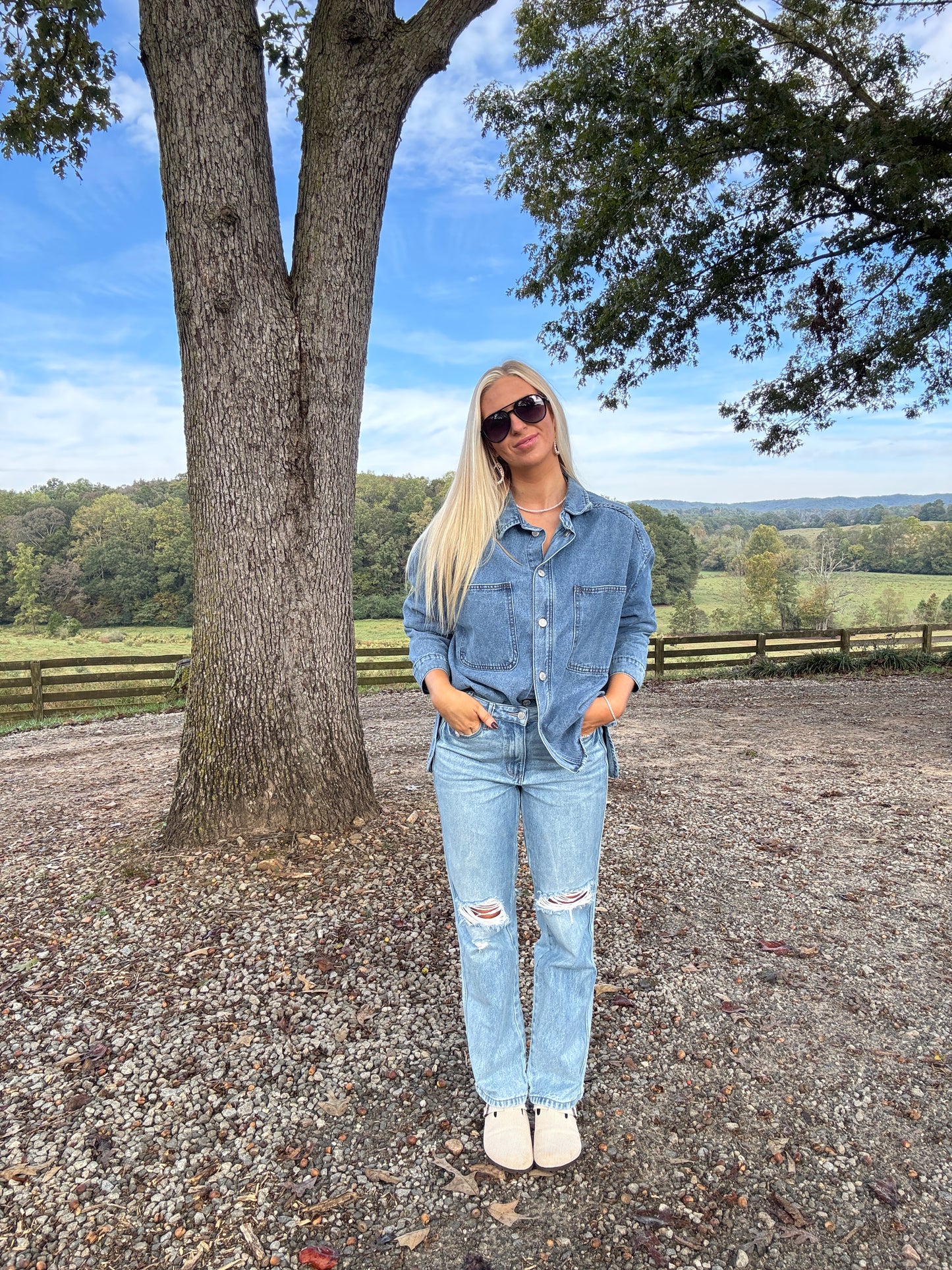 Brooke Denim Button Down
