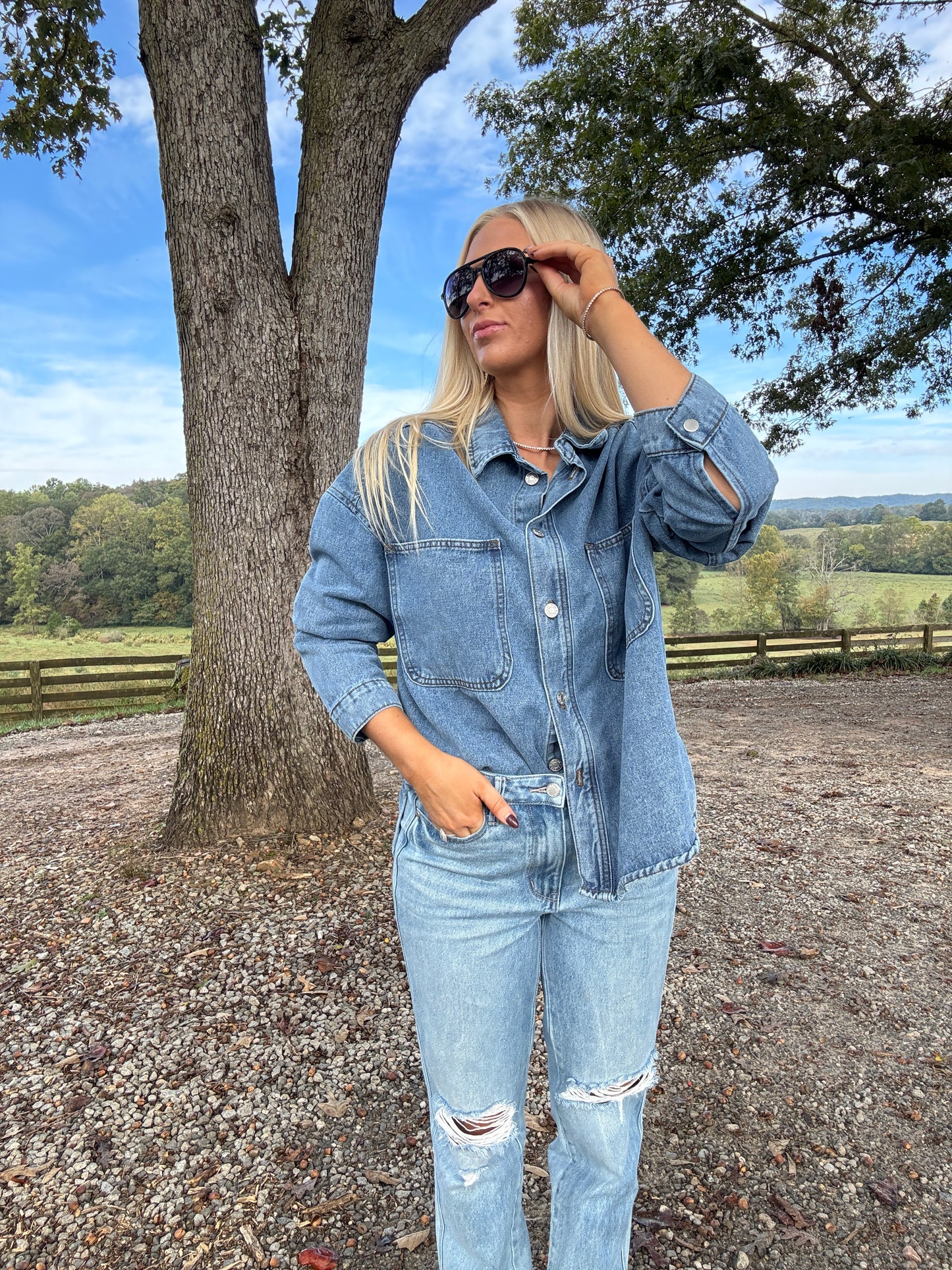 Brooke Denim Button Down