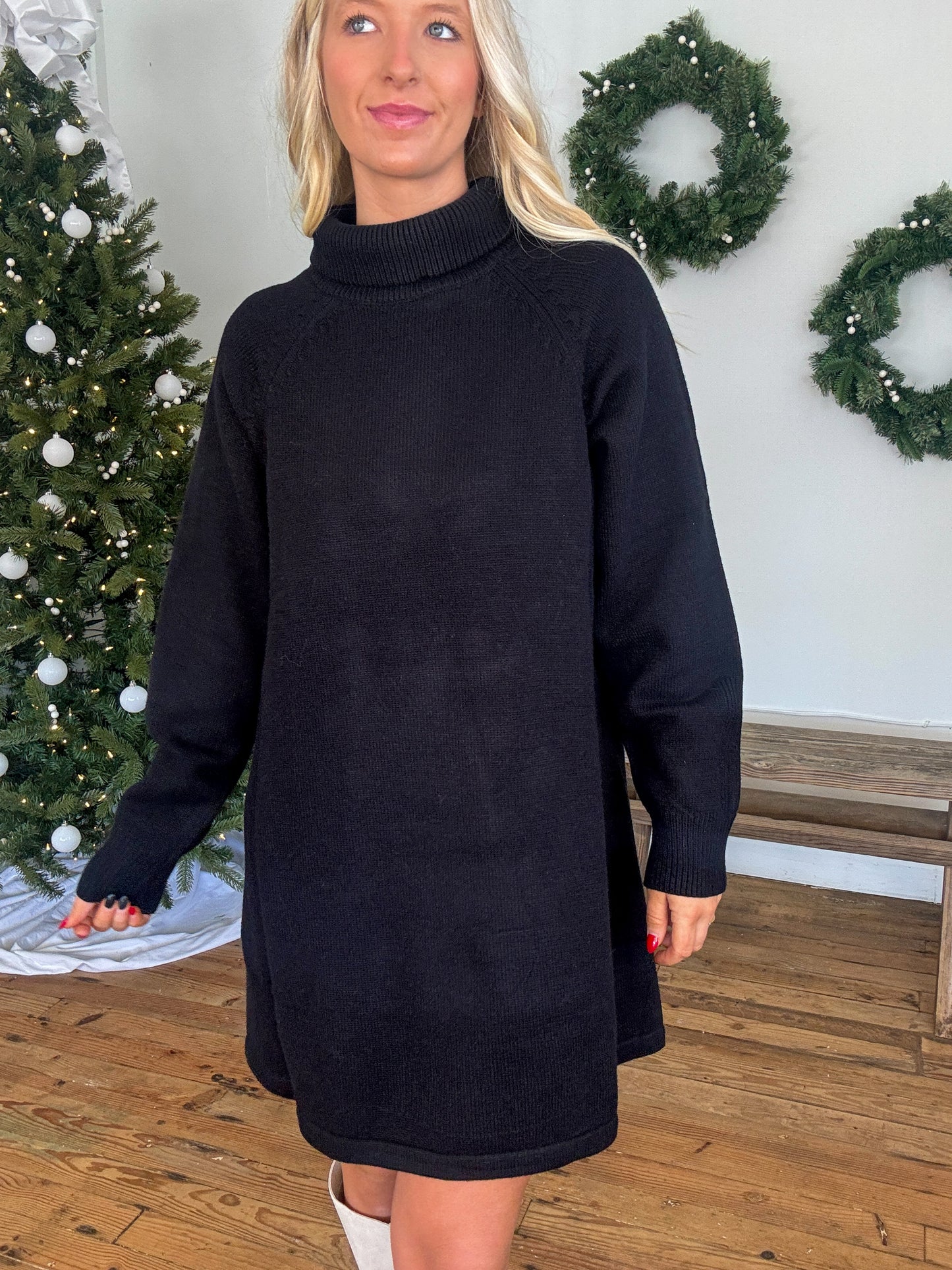 Mal Turtleneck Sweater Dress