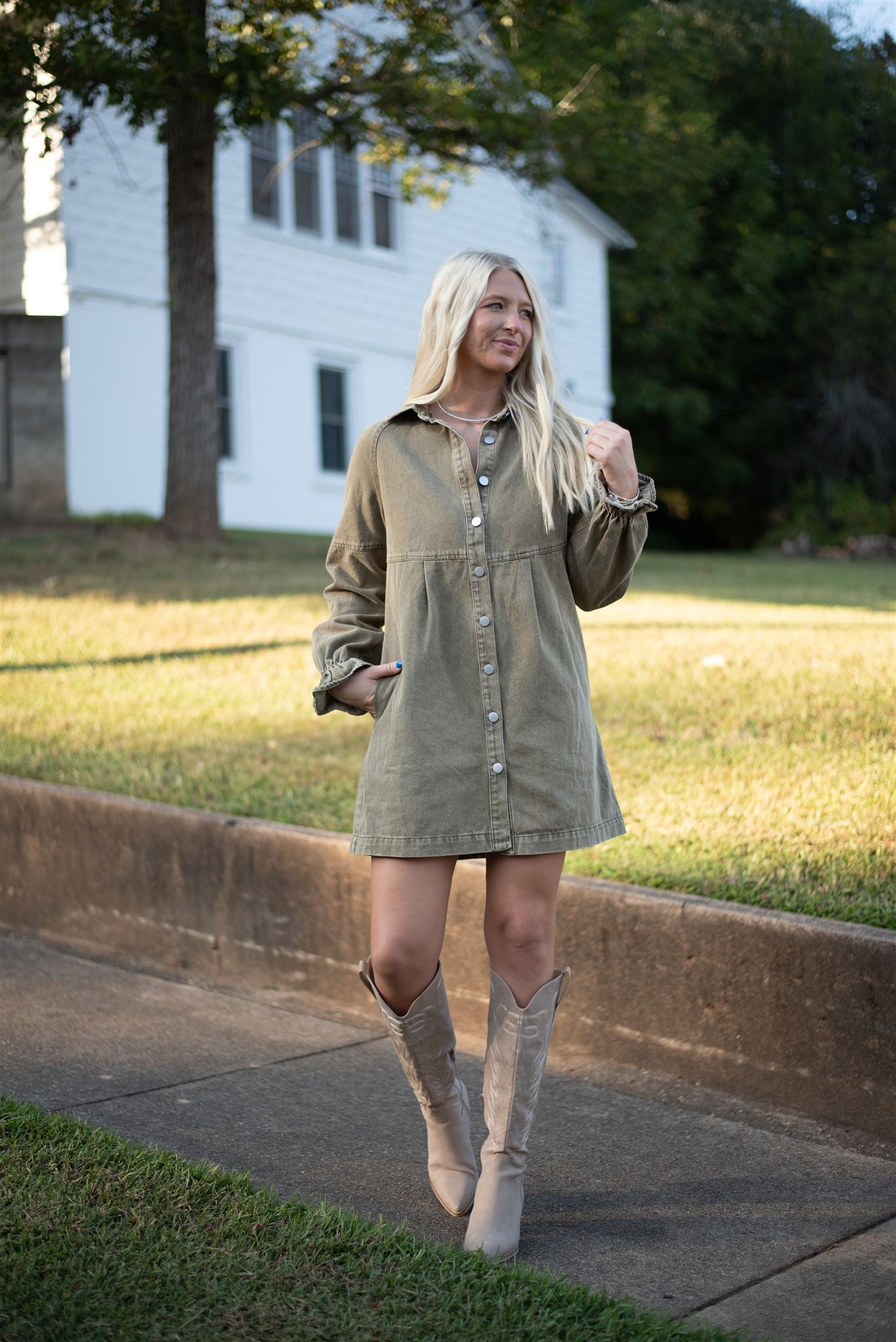 Boxton Denim Mini Dress