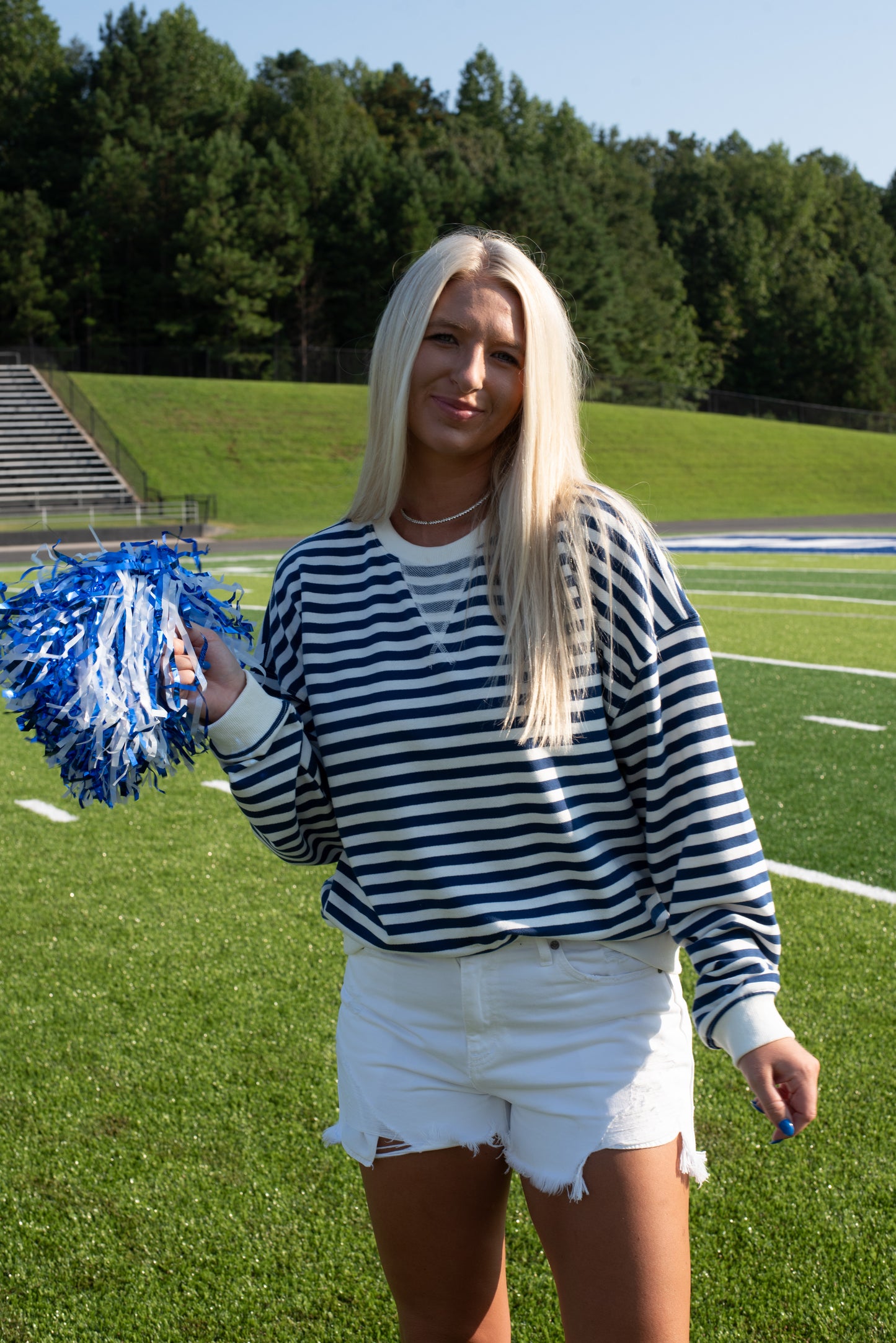 Stripe Knit Pullover - Blue/White