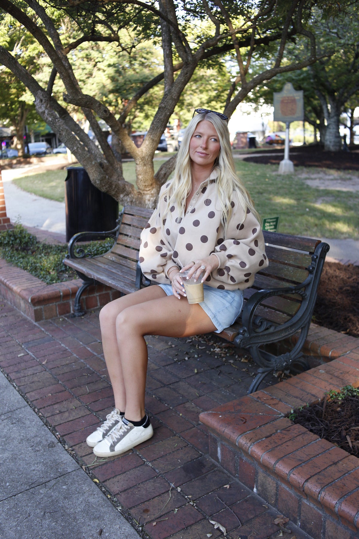 Polka Dot Button Pullover - Taupe/Brown