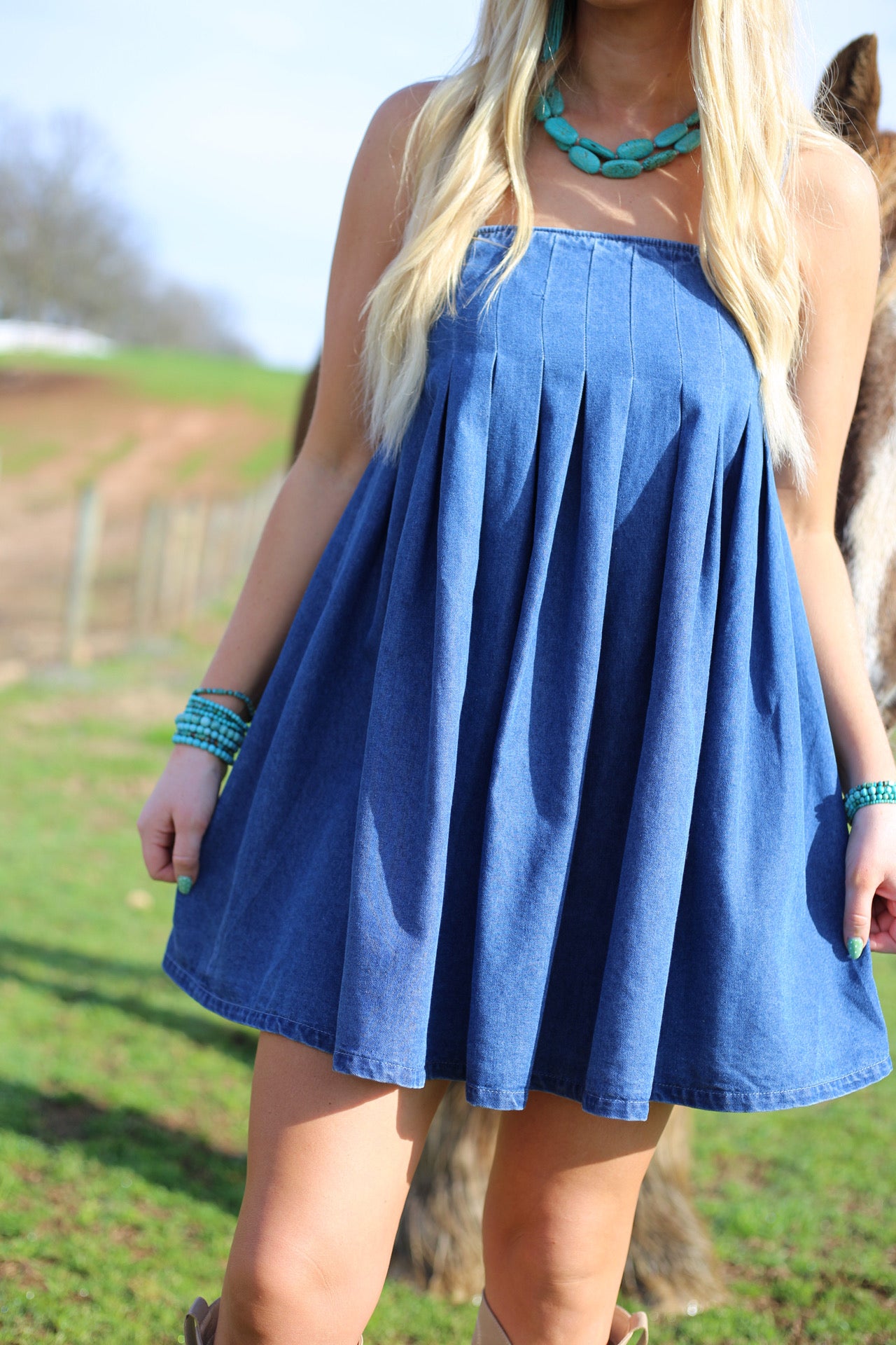 Nadia Pleated Denim Dress