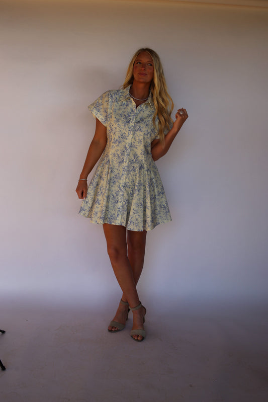 Euro Summer Mini Dress