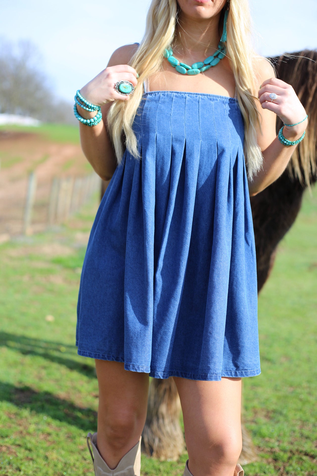Nadia Pleated Denim Dress