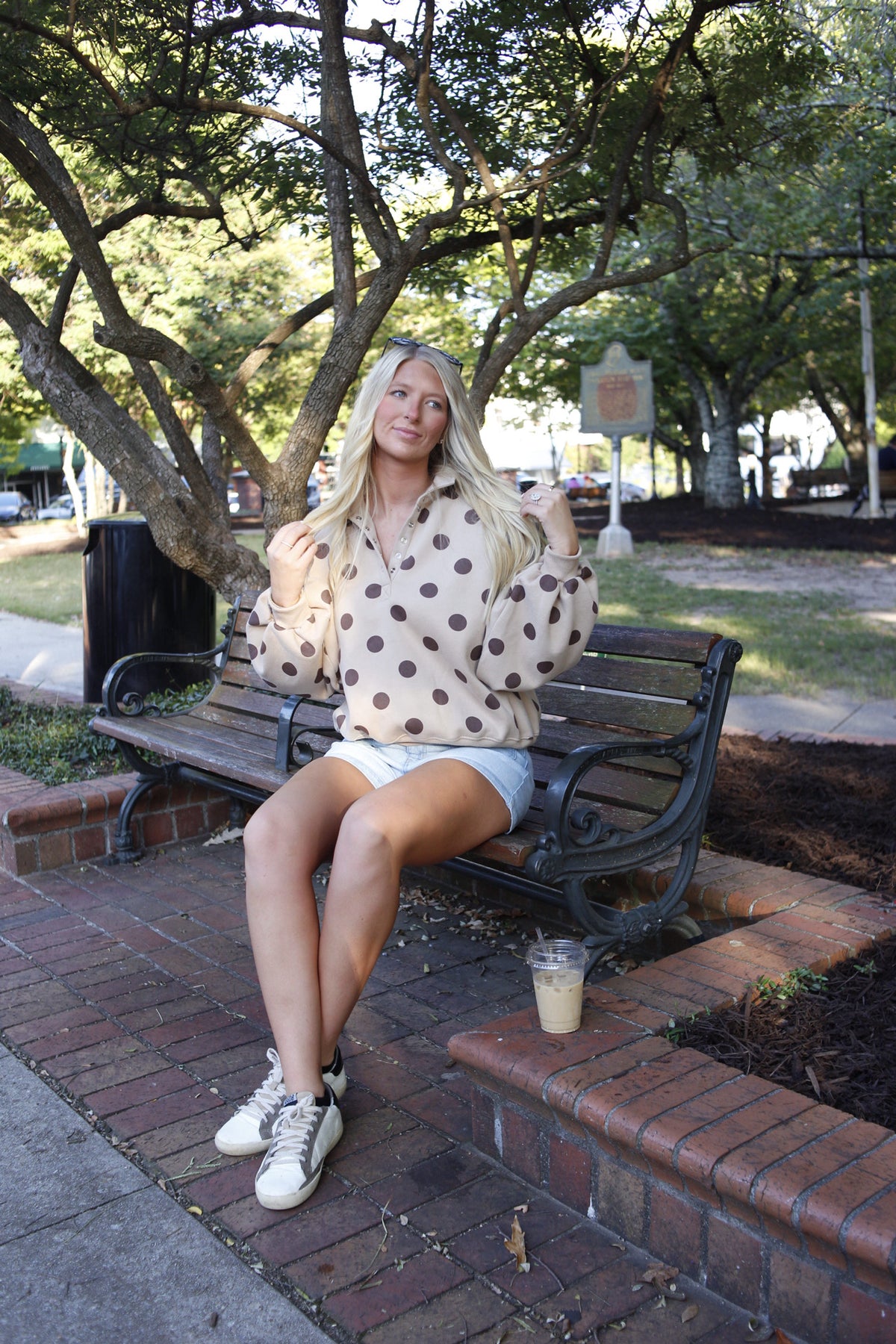 Polka Dot Button Pullover - Taupe/Brown