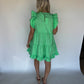 Stetson Ruffle Mini Dress