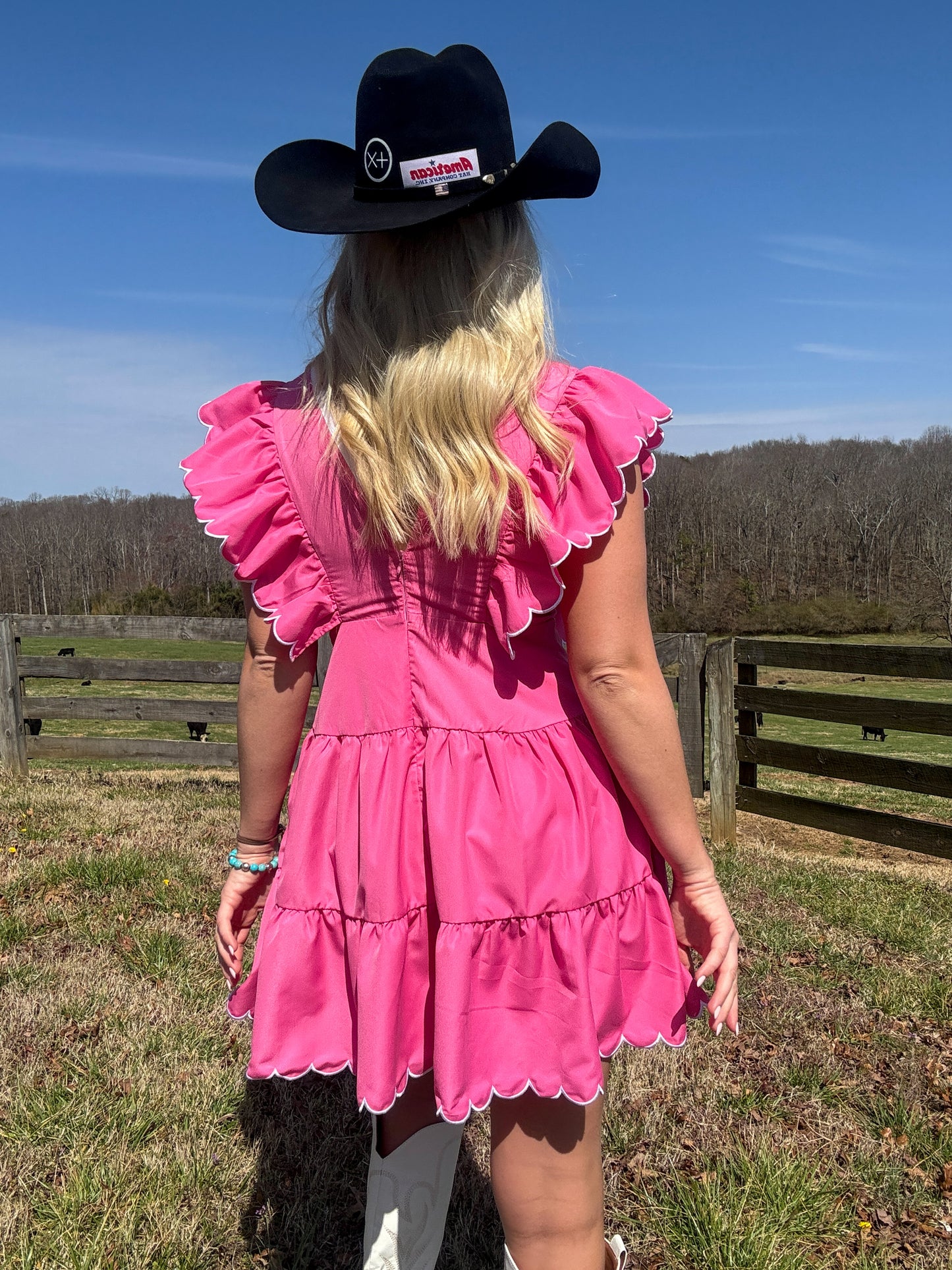 Lovely Southern Pink Dress
