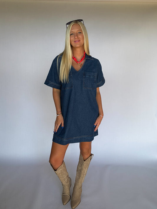 Ellie V-Neck Denim Dress