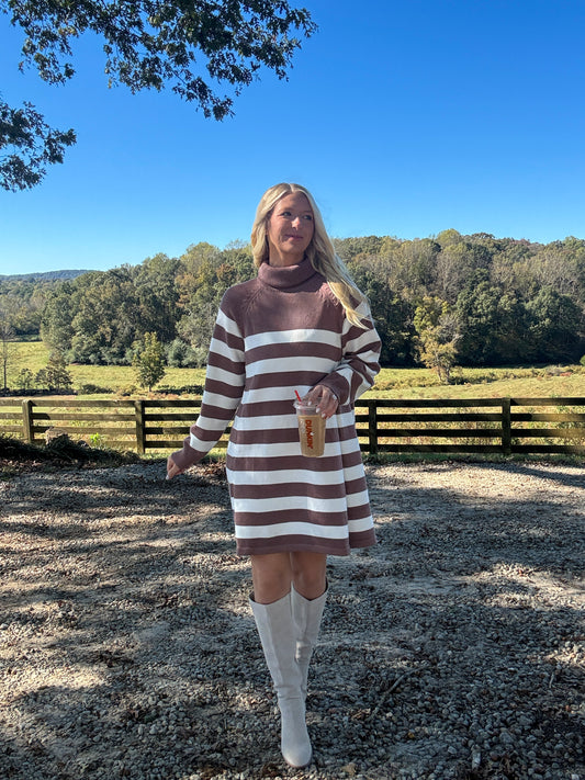Stacy Striped Knit Sweater Dress