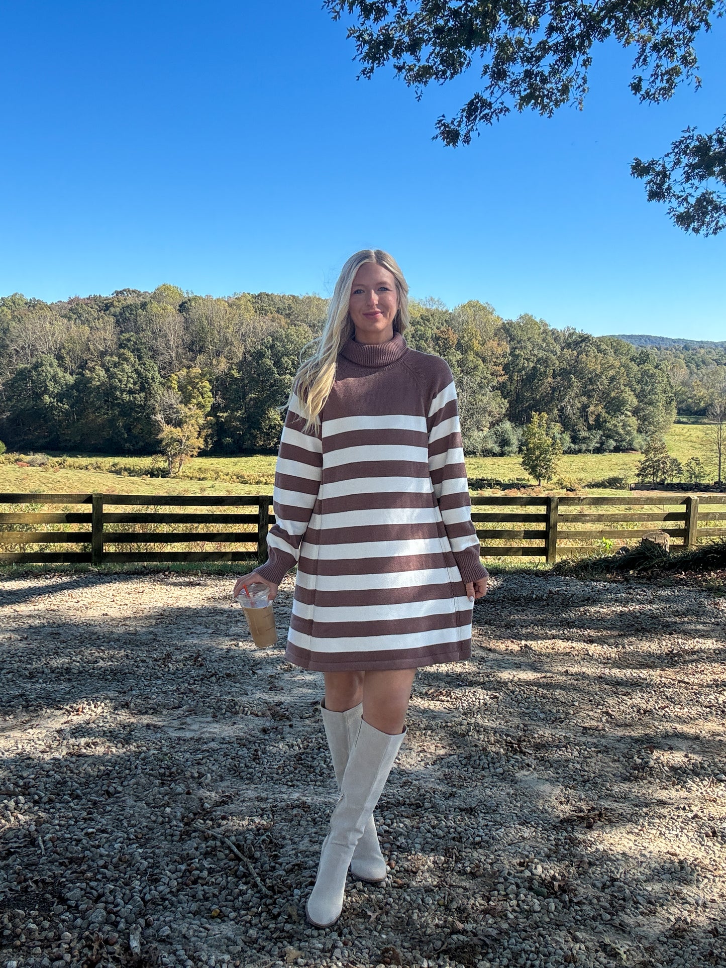 Stacy Striped Knit Sweater Dress