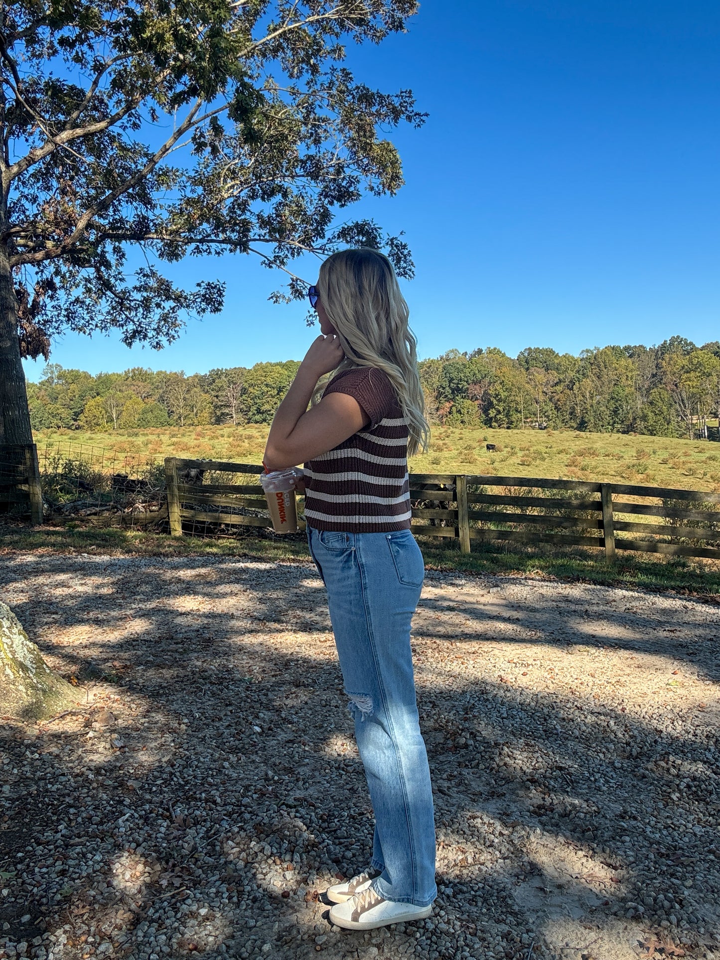 Sal Striped Sweater Vest - Brown