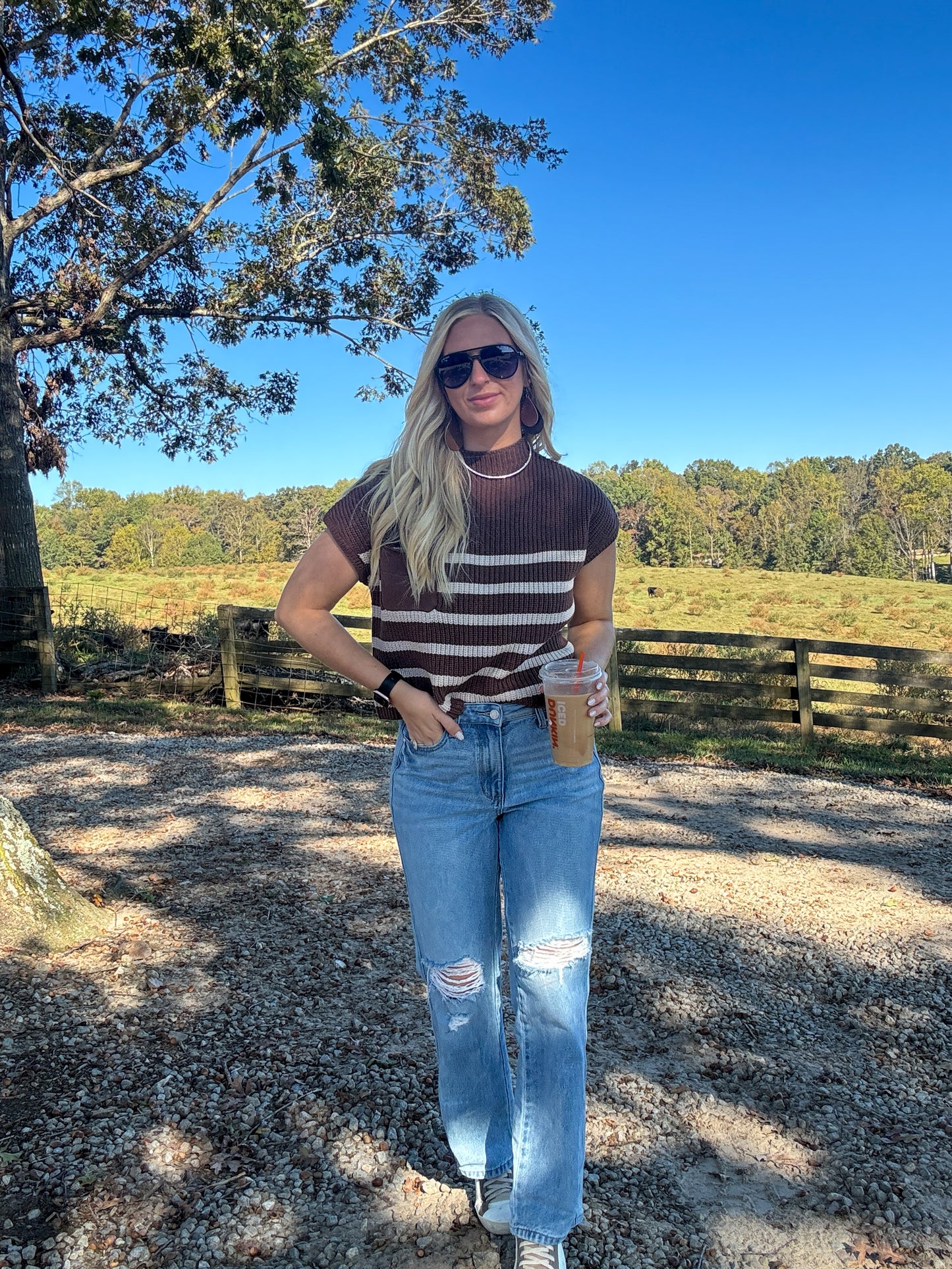 Sal Striped Sweater Vest - Brown