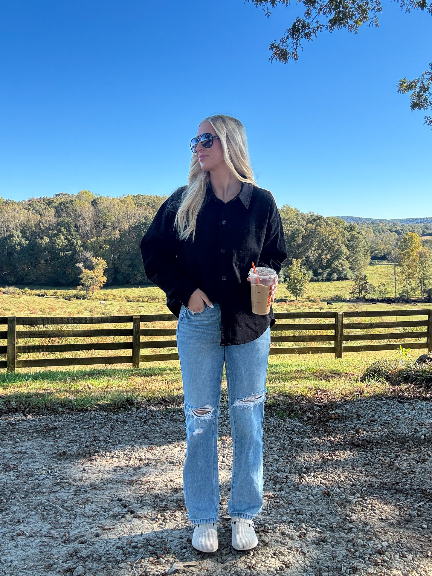 Dutton Button Down - Black