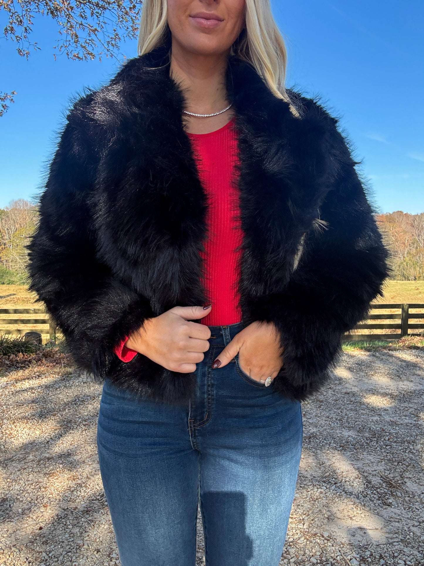 Lewis Cropped Fur Jacket