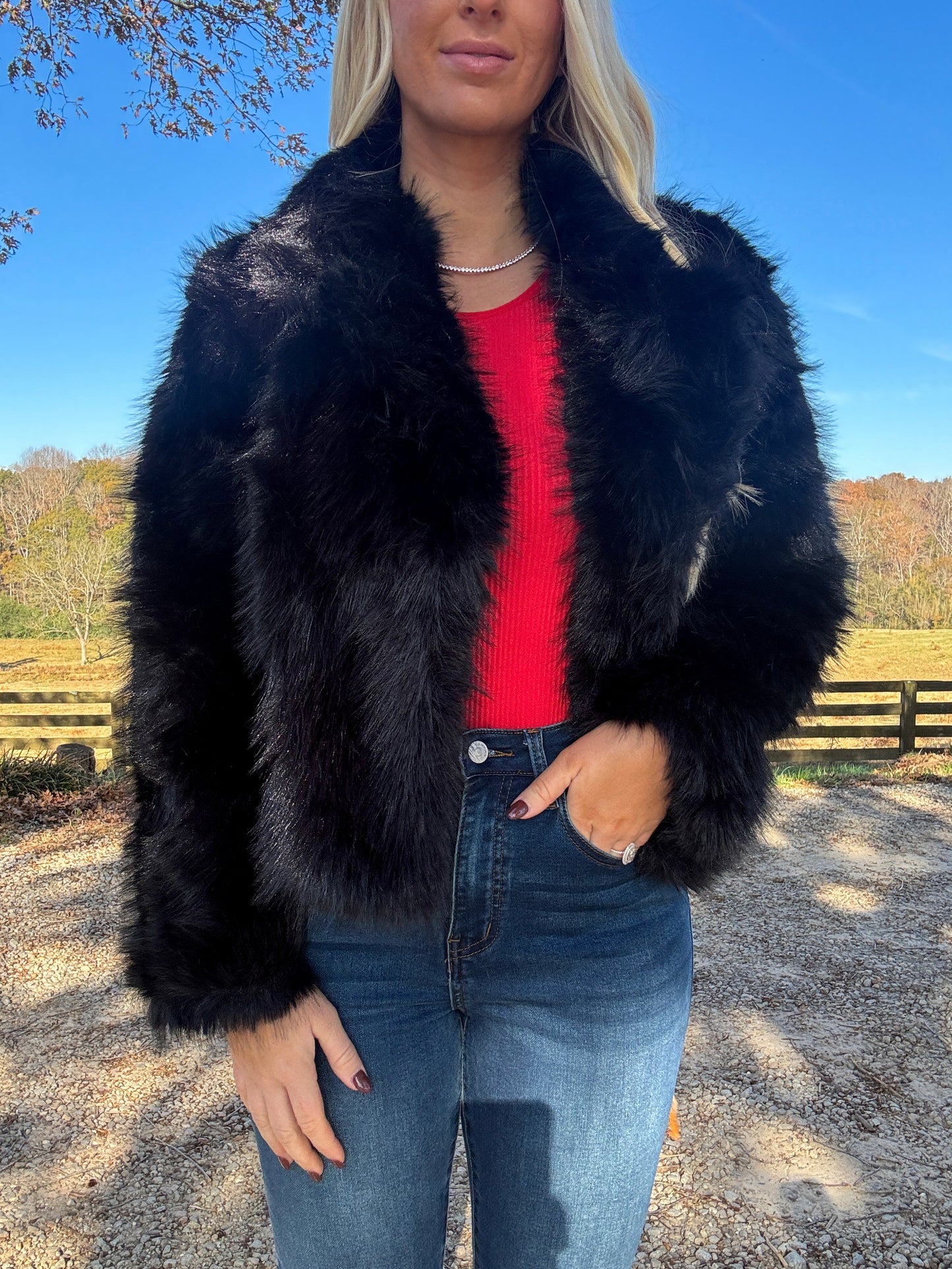 Lewis Cropped Fur Jacket