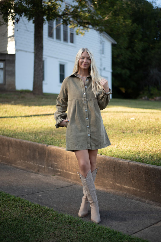 Boxton Denim Mini Dress