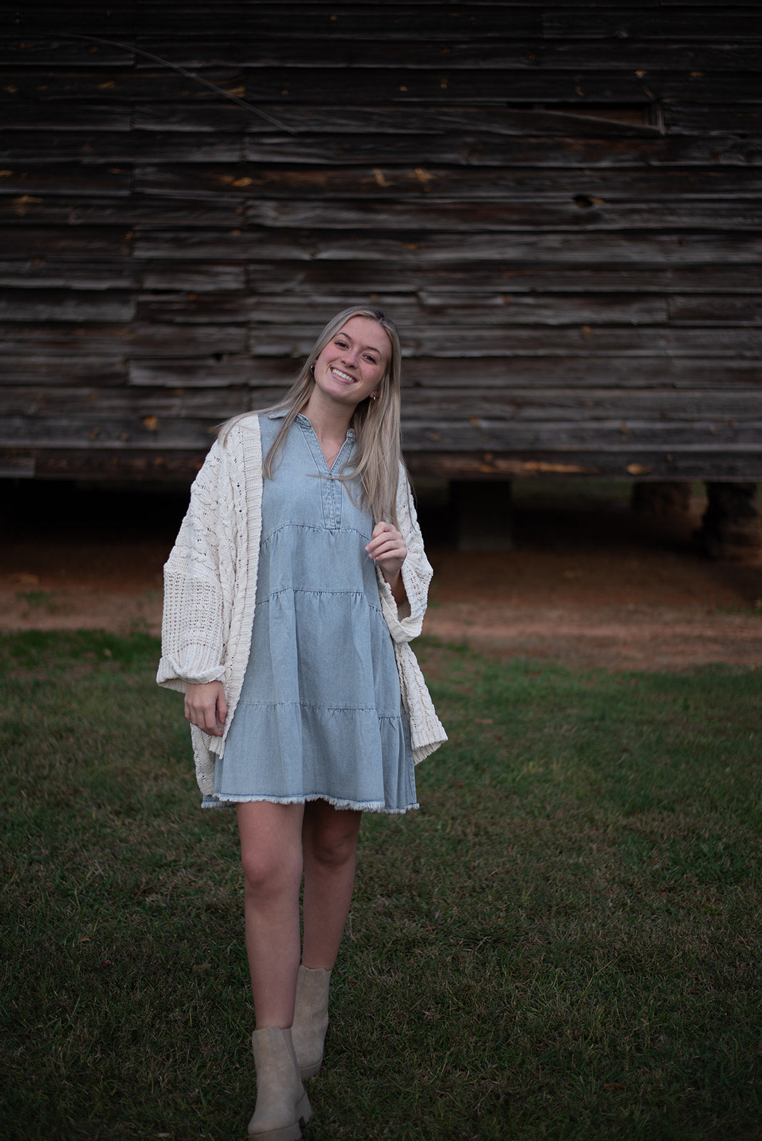 Reed Denim Dress FINAL SALE