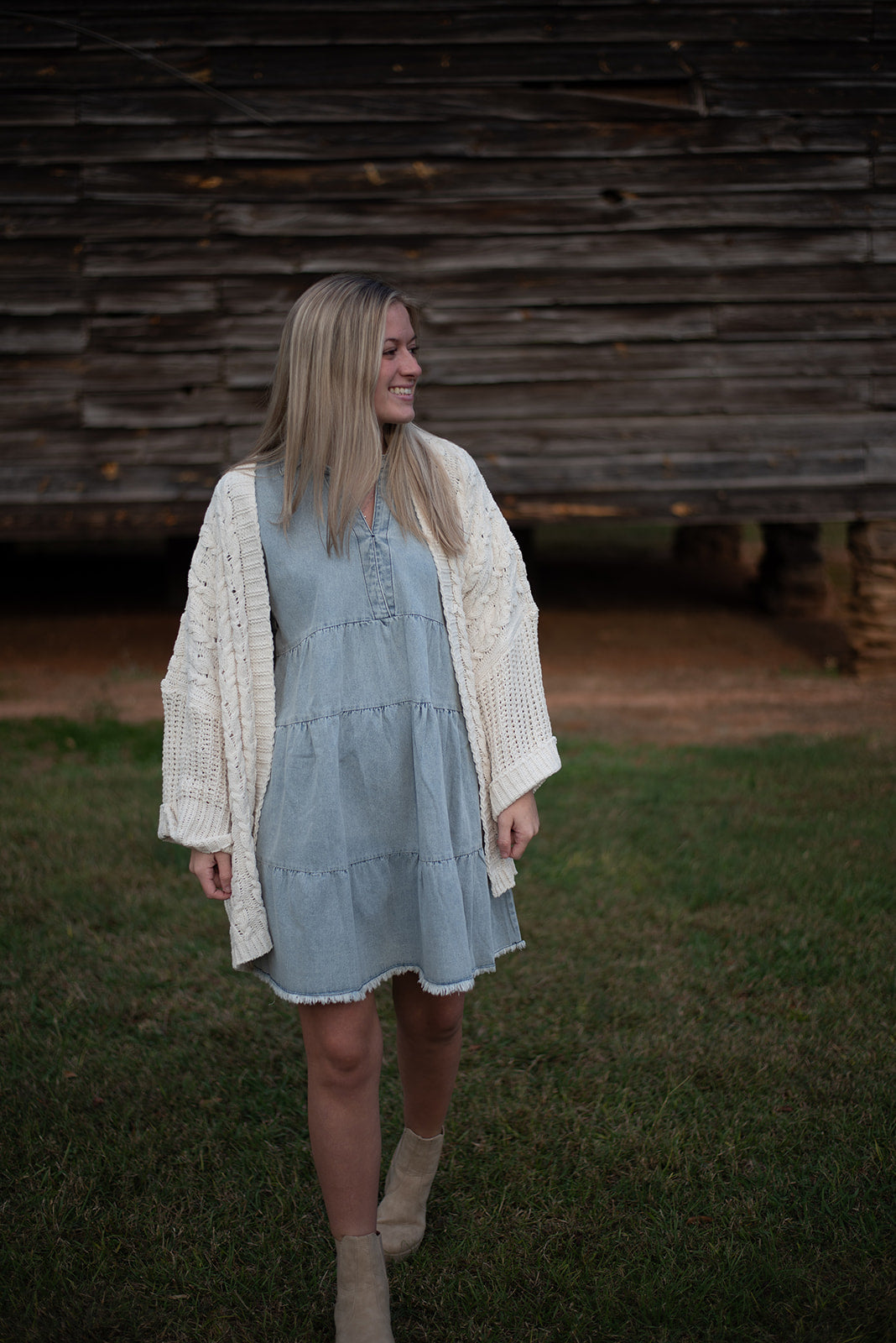 Reed Denim Dress FINAL SALE